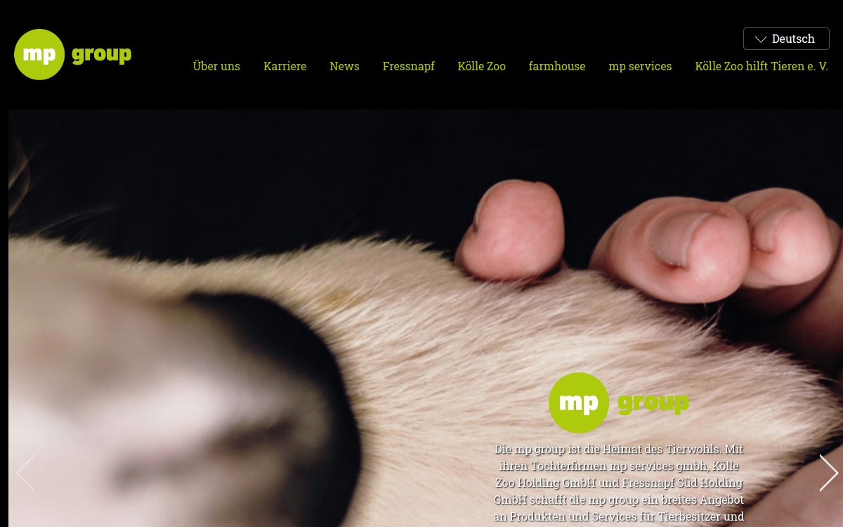 MP Group website screenshot