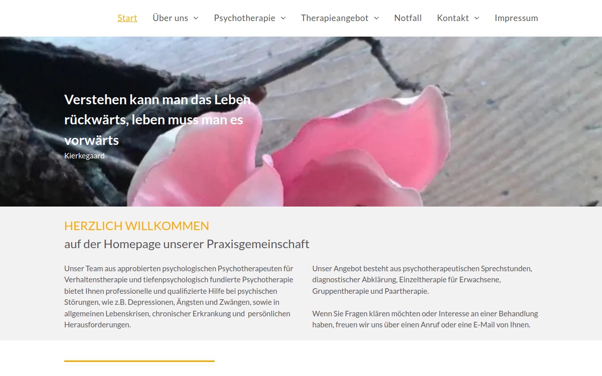 Riedel Psychotherapie website screenshot
