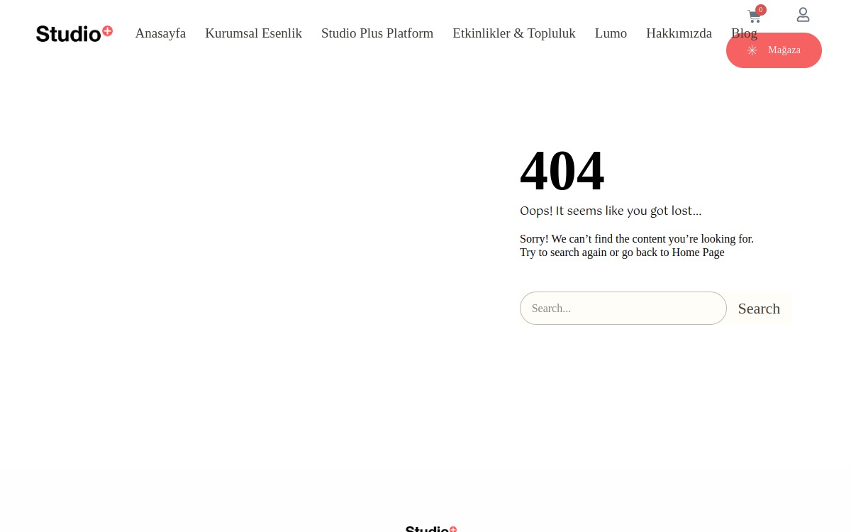 Studio Plus Work website screenshot